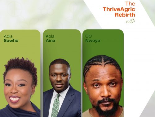 Cover image for The ThriveAgric Rebirth case study. Pictured are Adia Sowho, Kola Aina, and OO Nwoye.